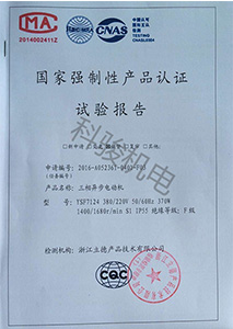 國家強制性認證試驗報復(fù)-三相異步電動機-